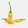 tabasco-short-yellow-saatgut