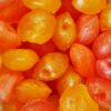 Chili Lollies aus der Chili-Werkstatt