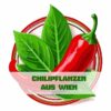 Chilipflanze aus Wien