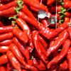 Piment_d'Espelette Chilis aus der Chili-Werkstatt