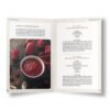 Mein Chili Pflanzen-Guide aus der Chili-Werkstatt