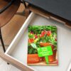 Mein Chili Pflanzen-Guide aus der Chili-Werkstatt