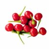 Charapita Red Chilis aus der Chili-Werkstatt