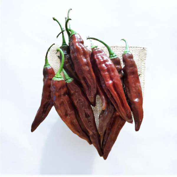 Ají Panca Chilischoten aus der Chili-Werkstatt