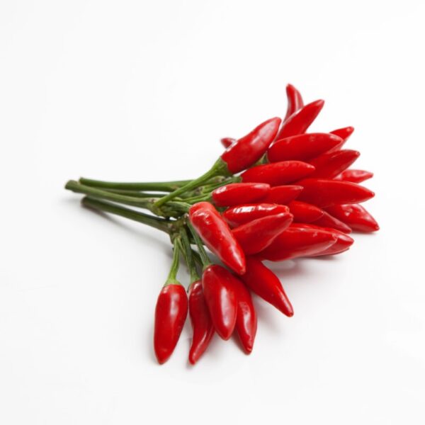 Wildpfefferoni Chili-Schoten aus der Chili-Werkstatt