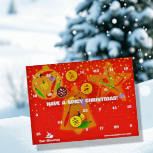 Chili-Adventskalender 2025 der Chili-Werkstatt