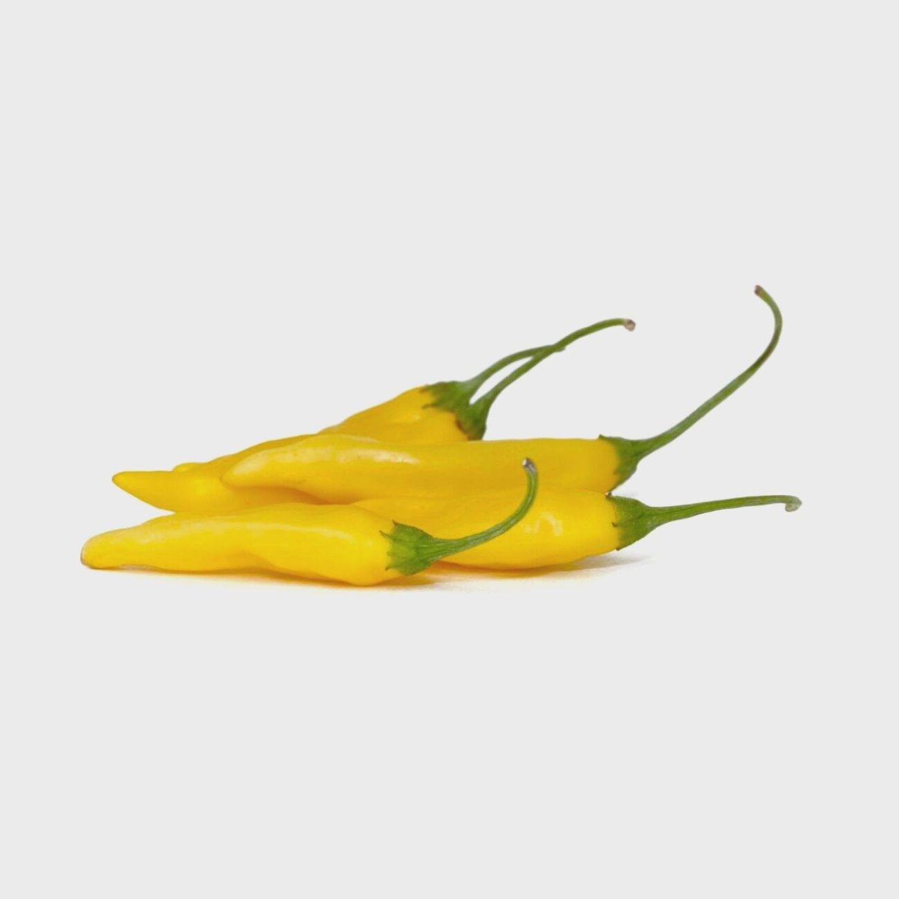 Aji Pineapple Chilis aus der Chili-Werkstatt